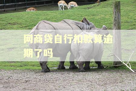 网商贷自行扣款算逾期了吗