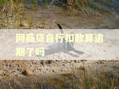 网商贷自行扣款算逾期了吗
