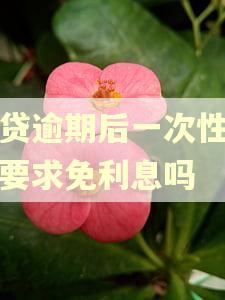 网贷逾期后一次性还能要求免利息吗