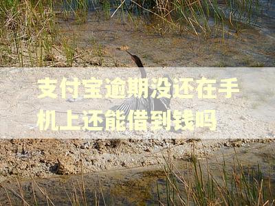支付宝逾期没还在手机上还能借到钱吗