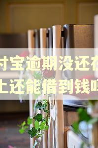 支付宝逾期没还在手机上还能借到钱吗