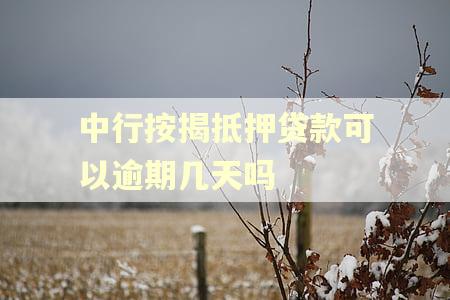 中行按揭抵押贷款可以逾期几天吗