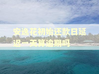 安逸花初始还款日延迟一天算逾期吗