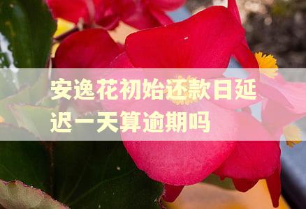 安逸花初始还款日延迟一天算逾期吗 安逸花初始还款日延迟一天算逾期吗
