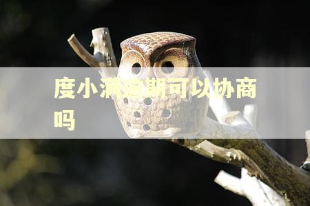 度小满逾期可以协商吗 度小满逾期可以协商吗