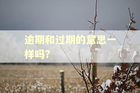 逾期和过期的意思一样吗? 逾期和过期的意思一样吗?