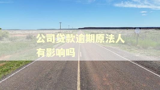 公司贷款逾期原法人有影响吗