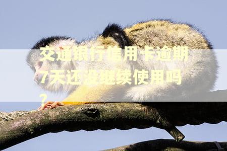 交通银行信用卡逾期7天还没继续使用吗?