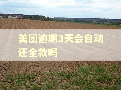 美团逾期3天会自动还全款吗