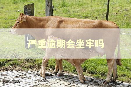 严重逾期会坐牢吗 严重逾期会坐牢吗