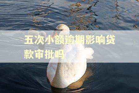 五次小额逾期影响贷款审批吗