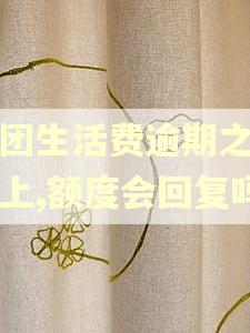 美团生活费逾期之后还上,额度会回复吗