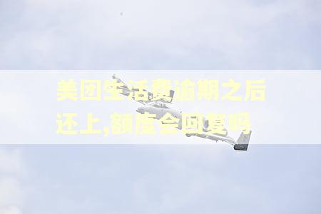 美团生活费逾期之后还上,额度会回复吗