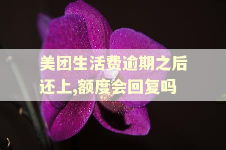 美团生活费逾期之后还上,额度会回复吗