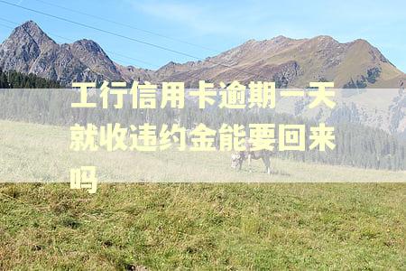 工行信用卡逾期一天就收违约金能要回来吗