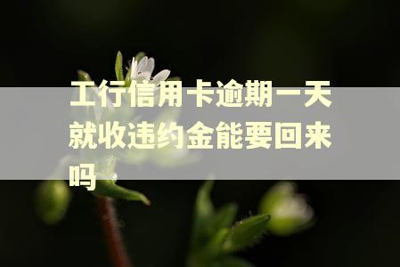 工行信用卡逾期一天就收违约金能要回来吗