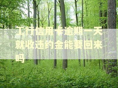 工行信用卡逾期一天就收违约金能要回来吗