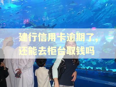建行信用卡逾期了,还能去柜台取钱吗 建行信用卡逾期了,还能去柜台取钱吗