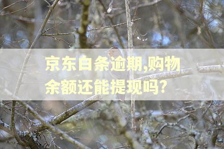 京东白条逾期,购物余额还能提现吗?