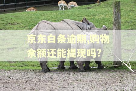 京东白条逾期,购物余额还能提现吗?