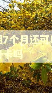 逾期7个月还可以办信用卡吗
