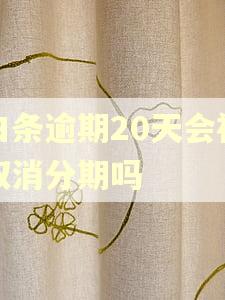 白条逾期20天会被取消分期吗