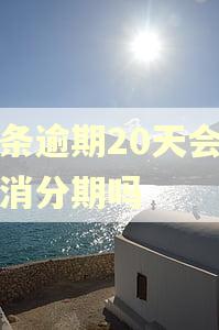 白条逾期20天会被取消分期吗