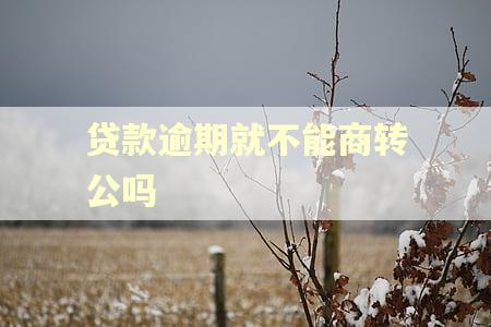 贷款逾期就不能商转公吗