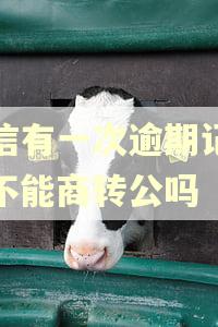 征信有一次逾期记录就不能商转公吗