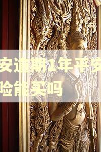 平安逾期1年平安的车险能买吗
