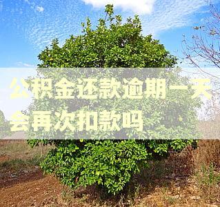 公积金还款逾期一天会再次扣款吗