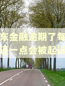 京东金融逾期了每个月还一点会被起诉吗