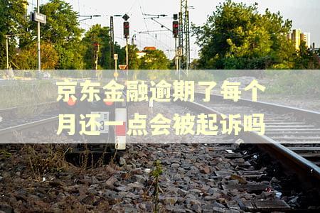 京东金融逾期了每个月还一点会被起诉吗