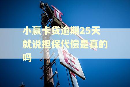 小赢卡贷逾期25天就说担保代偿是真的吗