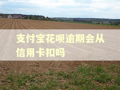 支付宝花呗逾期会从信用卡扣吗