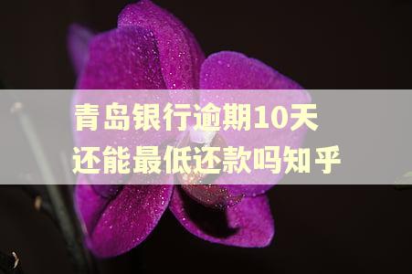 青岛银行逾期10天还能最低还款吗知乎