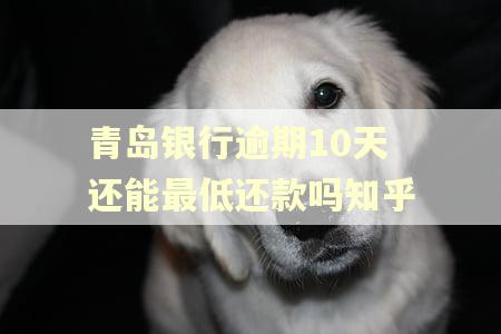 青岛银行逾期10天还能最低还款吗知乎
