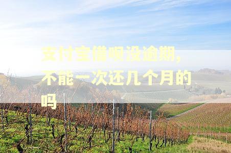 支付宝借呗没逾期,不能一次还几个月的吗
