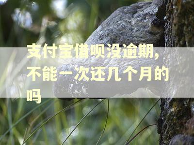 支付宝借呗没逾期,不能一次还几个月的吗