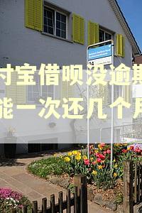 支付宝借呗没逾期,不能一次还几个月的吗