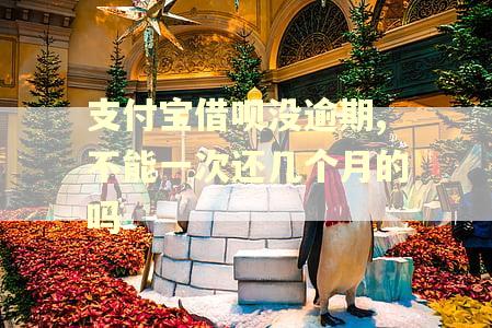 支付宝借呗没逾期,不能一次还几个月的吗 支付宝借呗没逾期,不能一次还几个月的吗