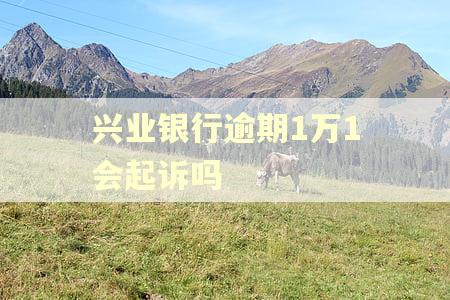 兴业银行逾期1万1会起诉吗