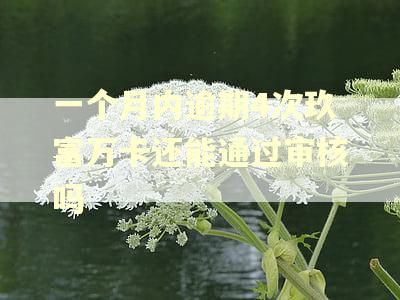一个月内逾期4次玖富万卡还能通过审核吗