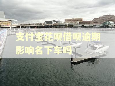 支付宝花呗借呗逾期影响名下车吗