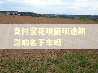 支付宝花呗借呗逾期影响名下车吗