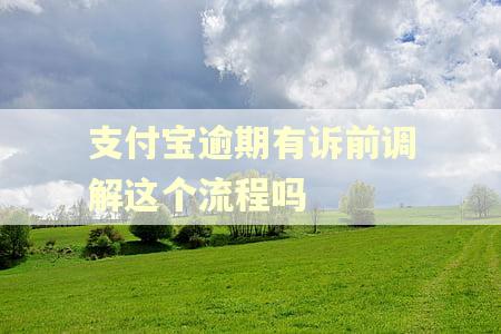 支付宝逾期有诉前调解这个流程吗