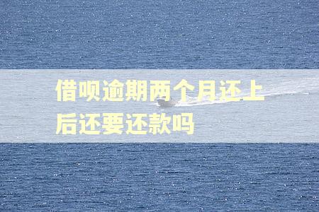借呗逾期两个月还上后还要还款吗