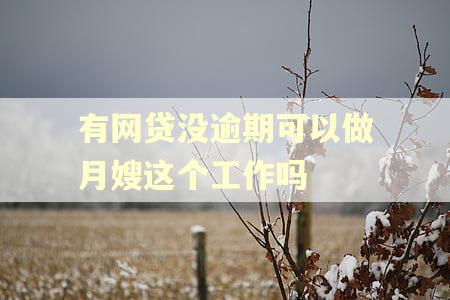 有网贷没逾期可以做月嫂这个工作吗 有网贷没逾期可以做月嫂这个工作吗