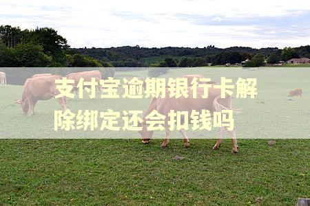 支付宝逾期银行卡解除绑定还会扣钱吗