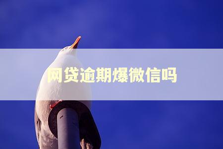 网贷逾期爆微信吗